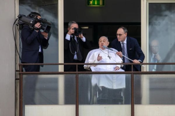 Papa De Alta A