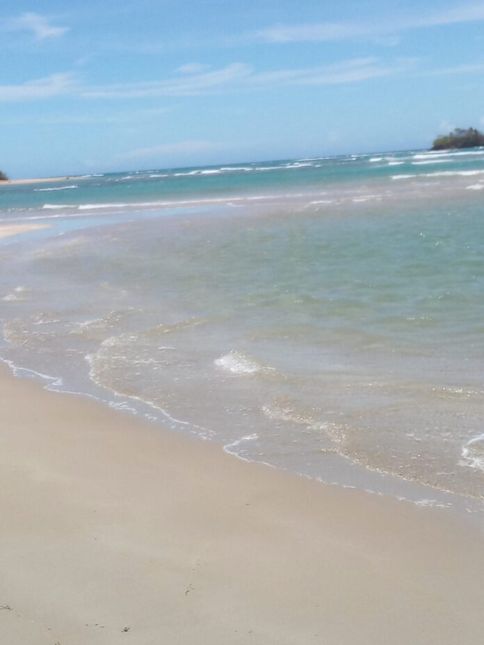 IMG-20250808-WA0033