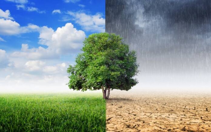 Cambio climático C