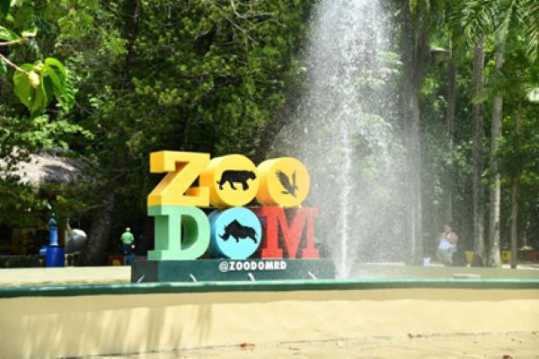Donaciòn Zoodom A
