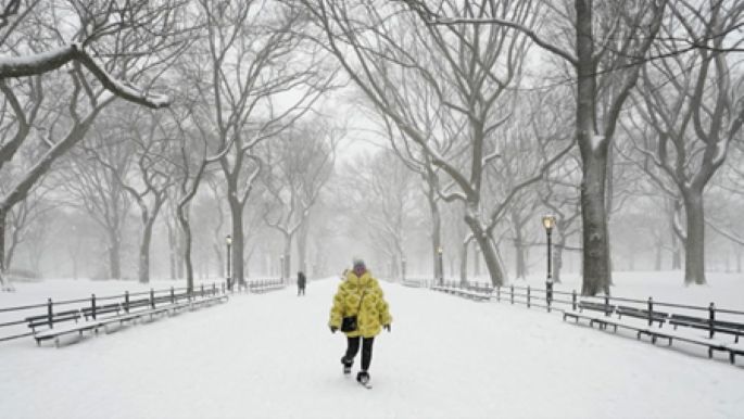NY tormenta AA
