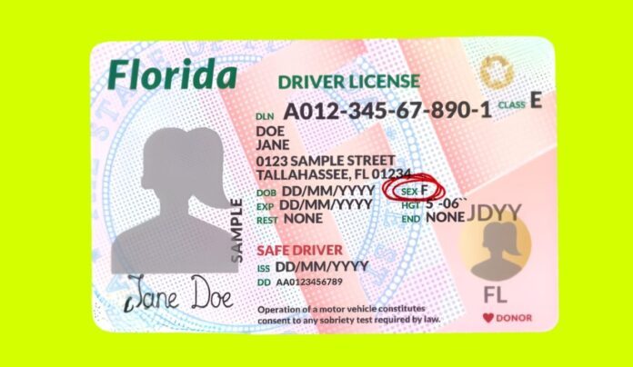 ¿Como-hacer-una-cita-para-la-licencia-de-manejo-en-Florida-1264x734