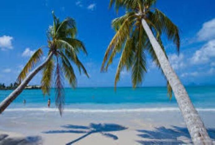 Punta Cana AA