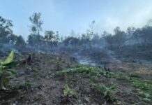 Medio Ambiente controla incendio forestal en Bonao
