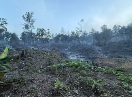 Medio Ambiente controla incendio forestal en Bonao