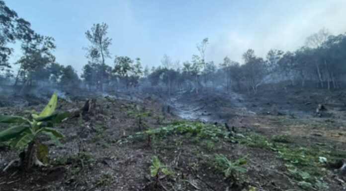 Medio Ambiente controla incendio forestal en Bonao
