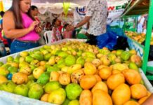 Expo Mango 2026: Reafirma éxito de Baní como la Capital del Mango