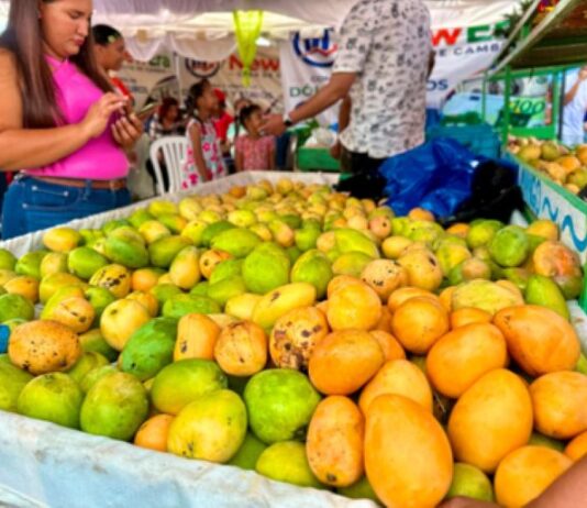 Expo Mango 2026: Reafirma éxito de Baní como la Capital del Mango