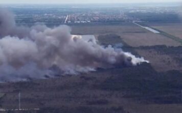 Florida: Doral y Broward bajo alerta por amenazas de incendios