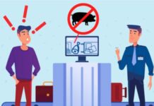 Evite empacar productos porcinos cuando viaje a EEUU