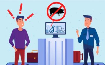 Evite empacar productos porcinos cuando viaje a EEUU